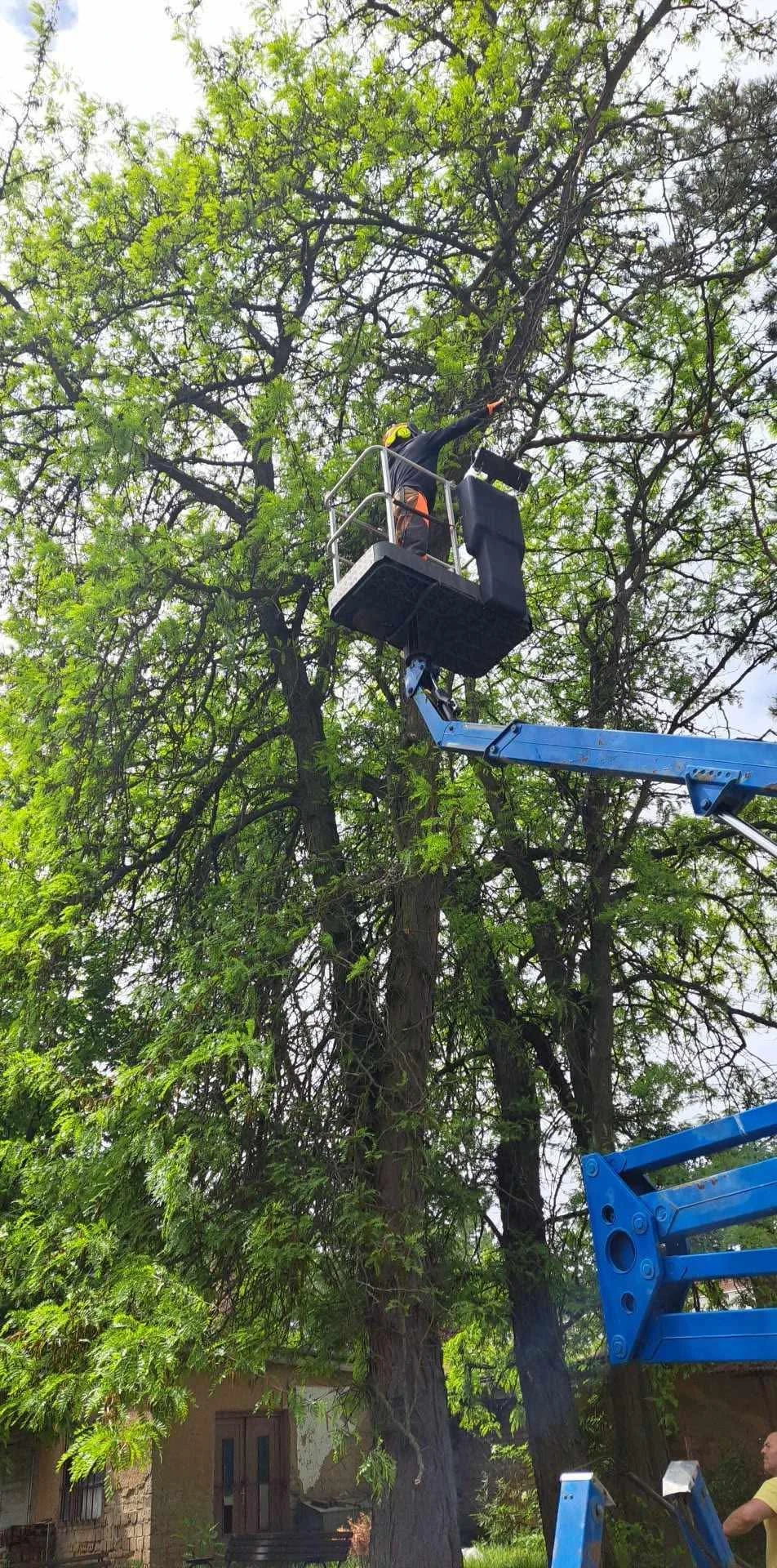 Emelőkosaras autó bérlés